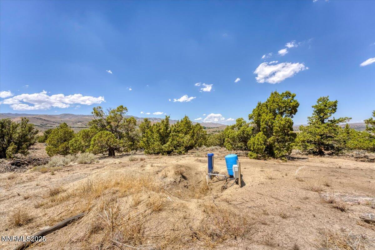 1025 Wendell Lane Reno, NV 89508 - Photo 14 of 21 a view of a yard with a tree