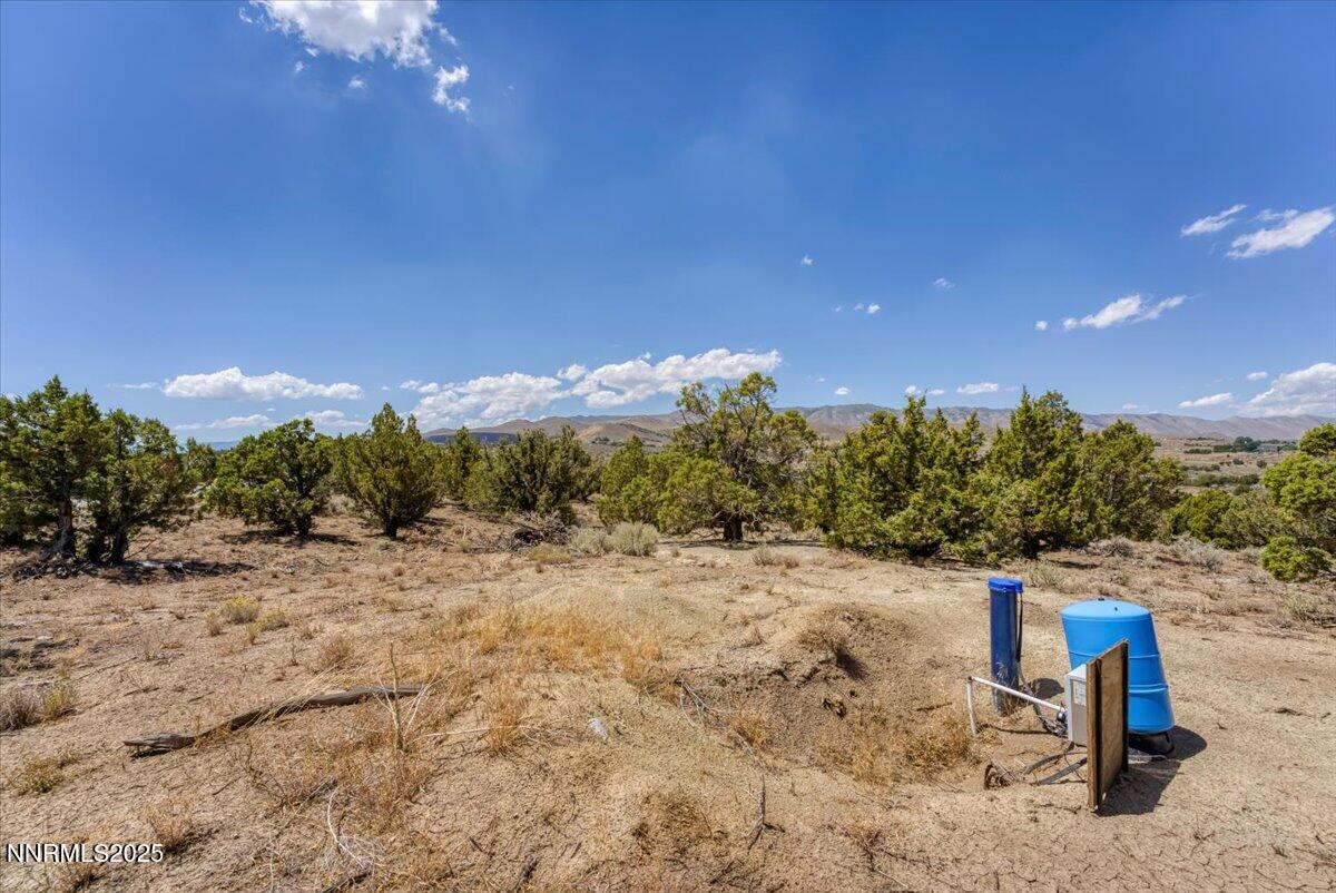 1025 Wendell Lane Reno, NV 89508 - Photo 15 of 21 a view of a yard with a tree