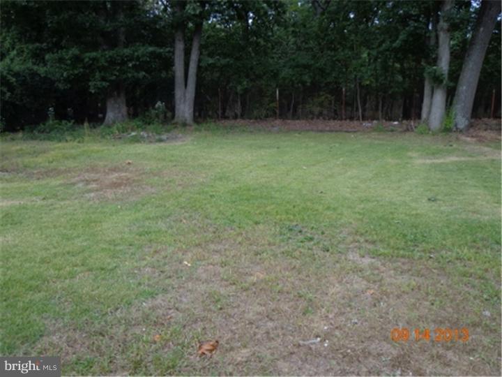 114 Country Club Road Pine Hill, NJ 08021 - Photo 5 of 6 Back Yard