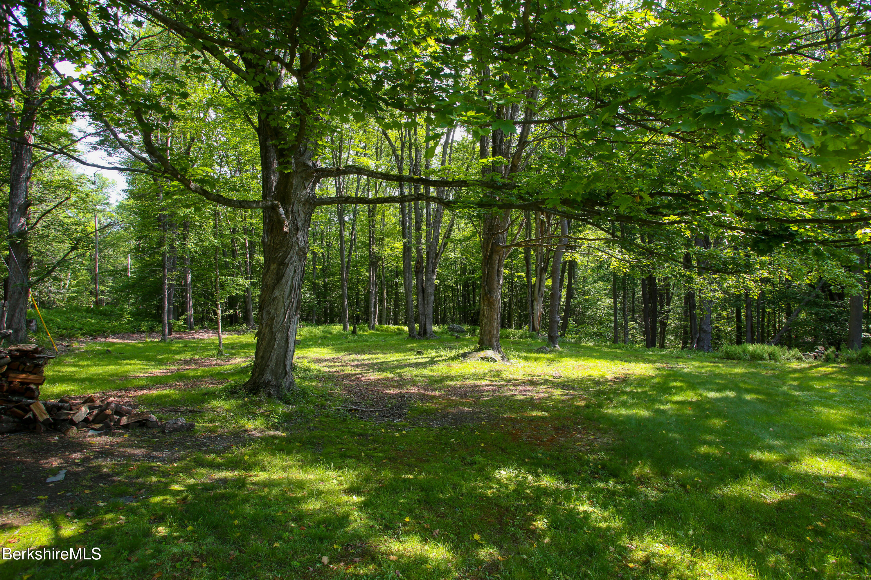 127 County Road Rowe, MA 01367 - Photo 25 of 29 a view of a trees in a yard
