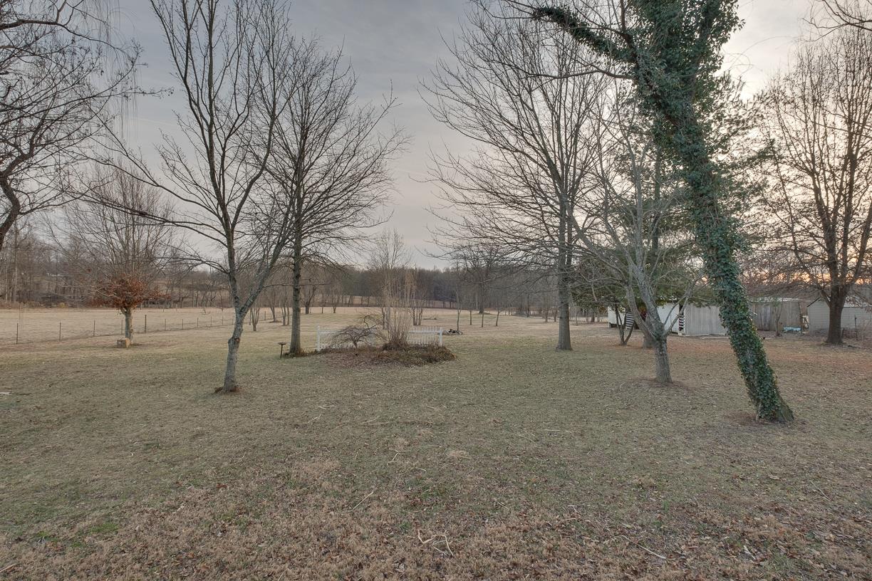 203 Link Road Cottontown, TN 37048 - Photo 28 of 30 a view of a house with a yard and the trees
