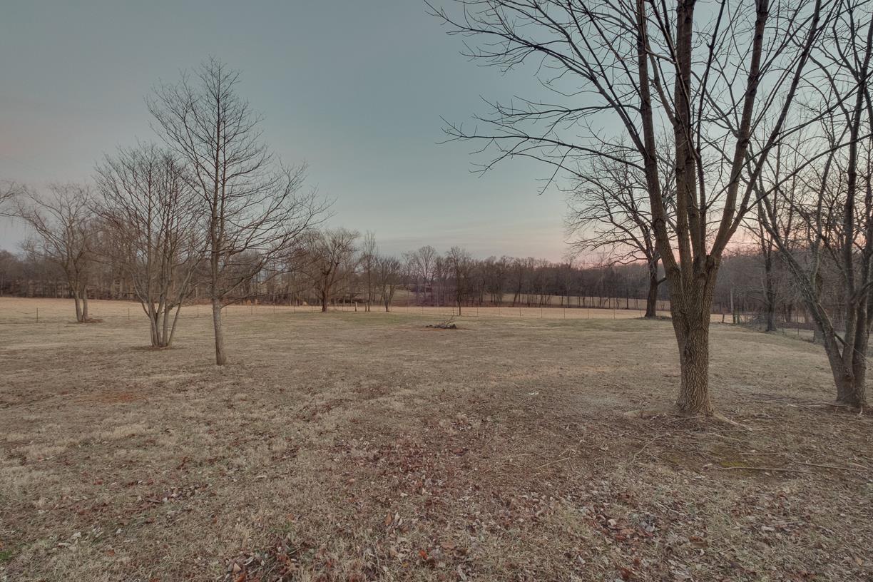 203 Link Road Cottontown, TN 37048 - Photo 29 of 30 a view of a yard with a tree