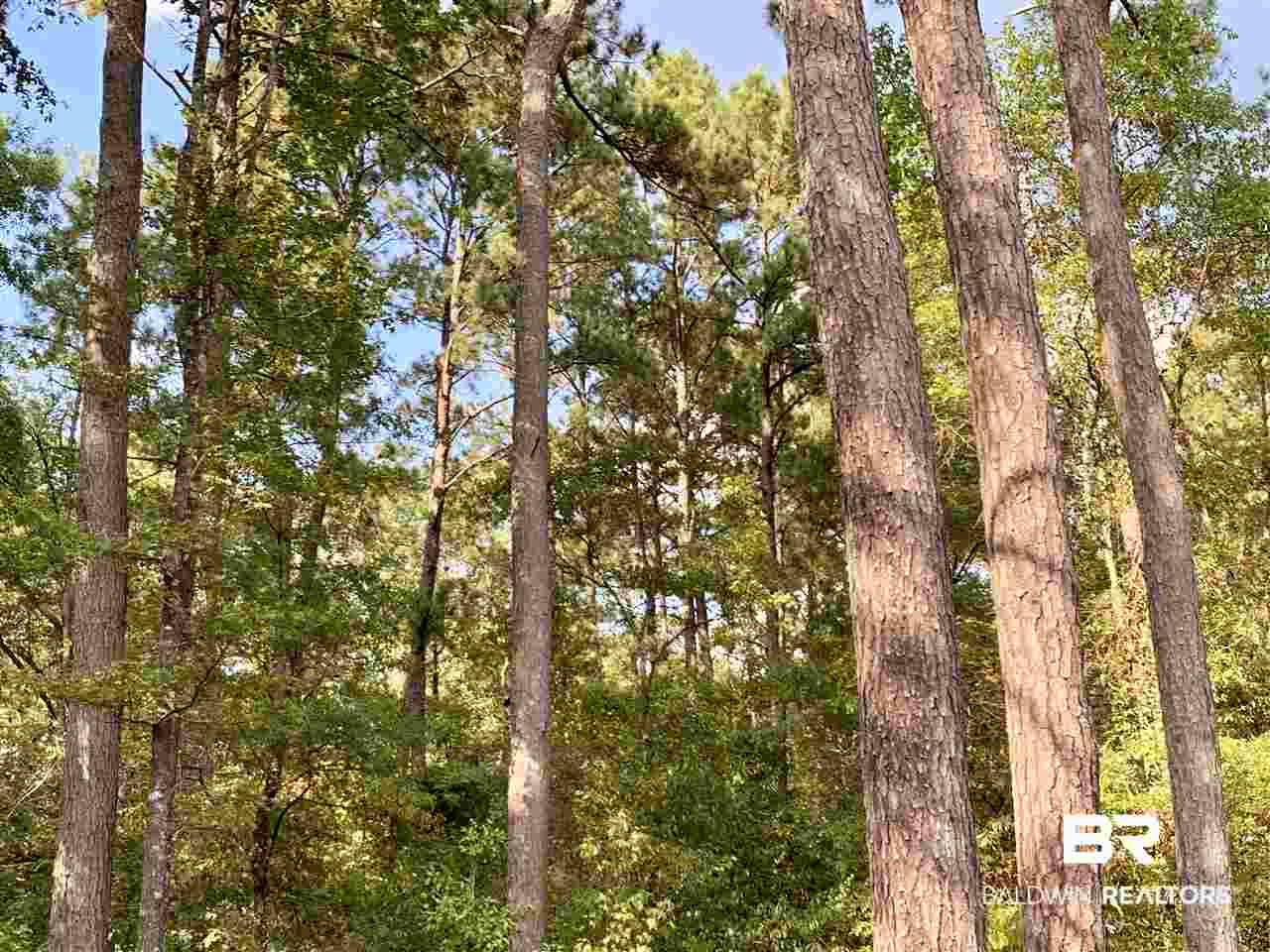 0 Holly Creek Road Stockton, AL 36579 - Photo 31 of 50