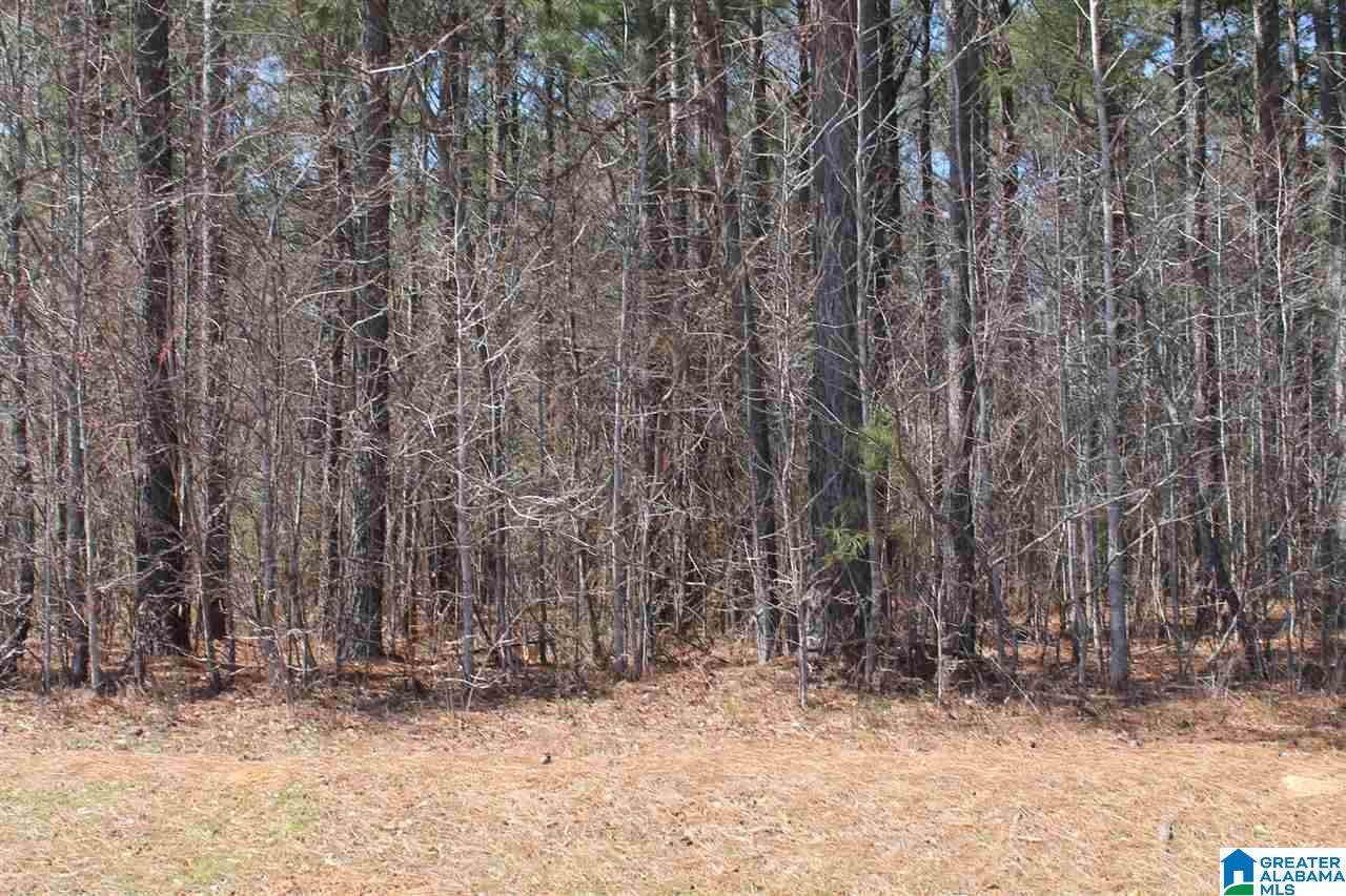 0 Clarendon Road, Unit LOT #65 Cullman, AL 35057 - Photo 3 of 7