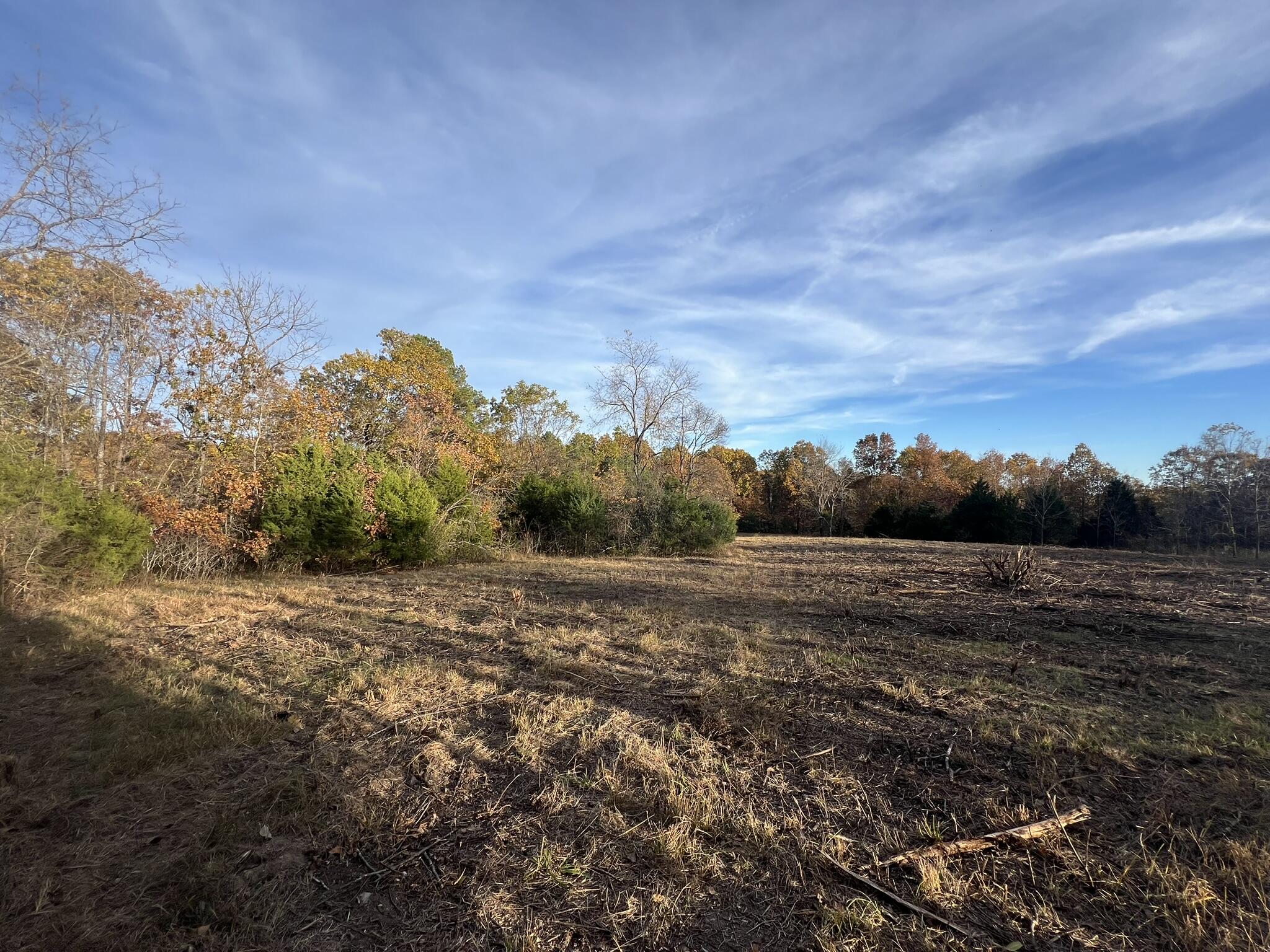 0 King Road Mountain Grove, MO 65711 - Photo 15 of 26 17