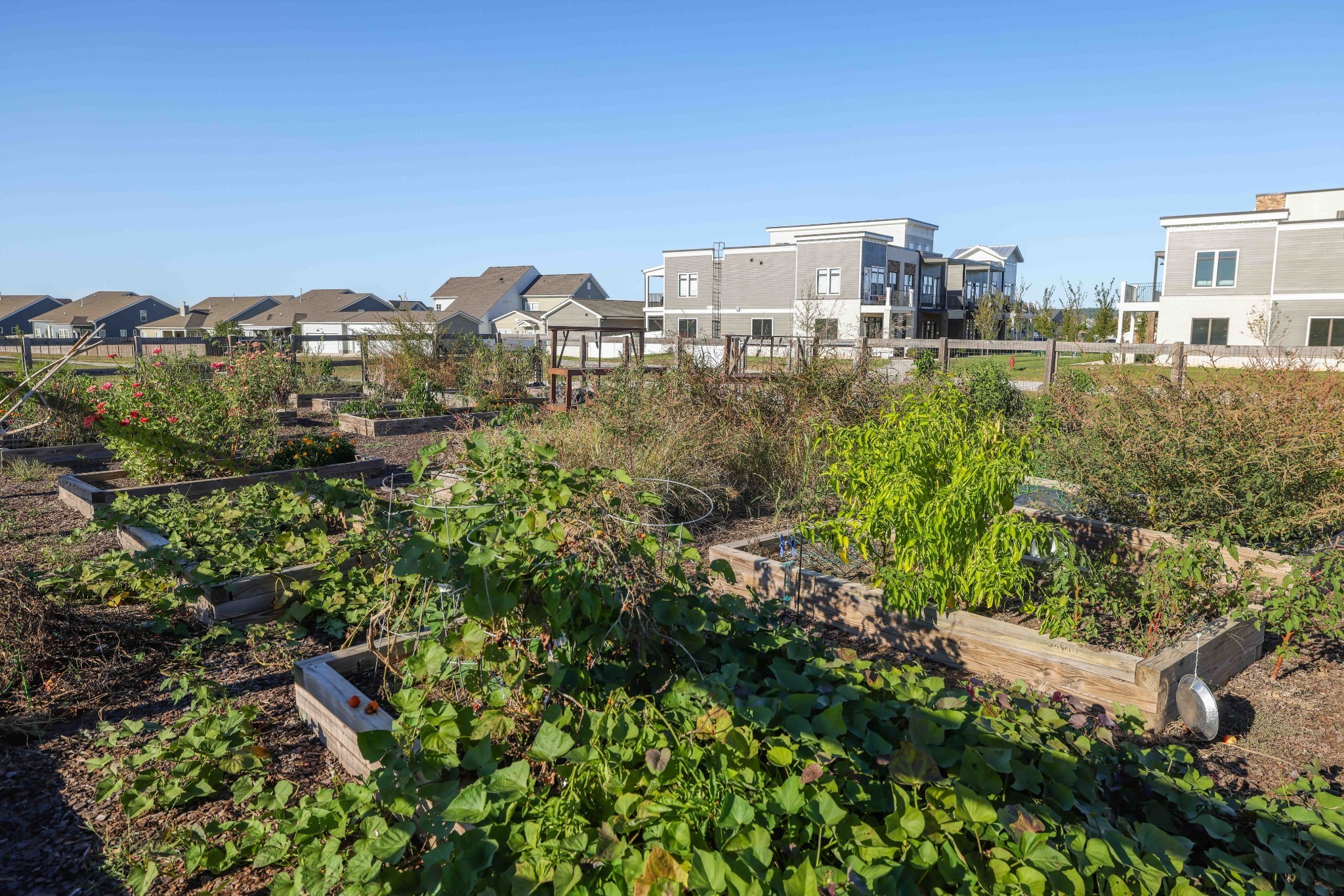 3024 Shandor St Spring Hill Spring Hill, TN 37174 - Photo 56 of 62