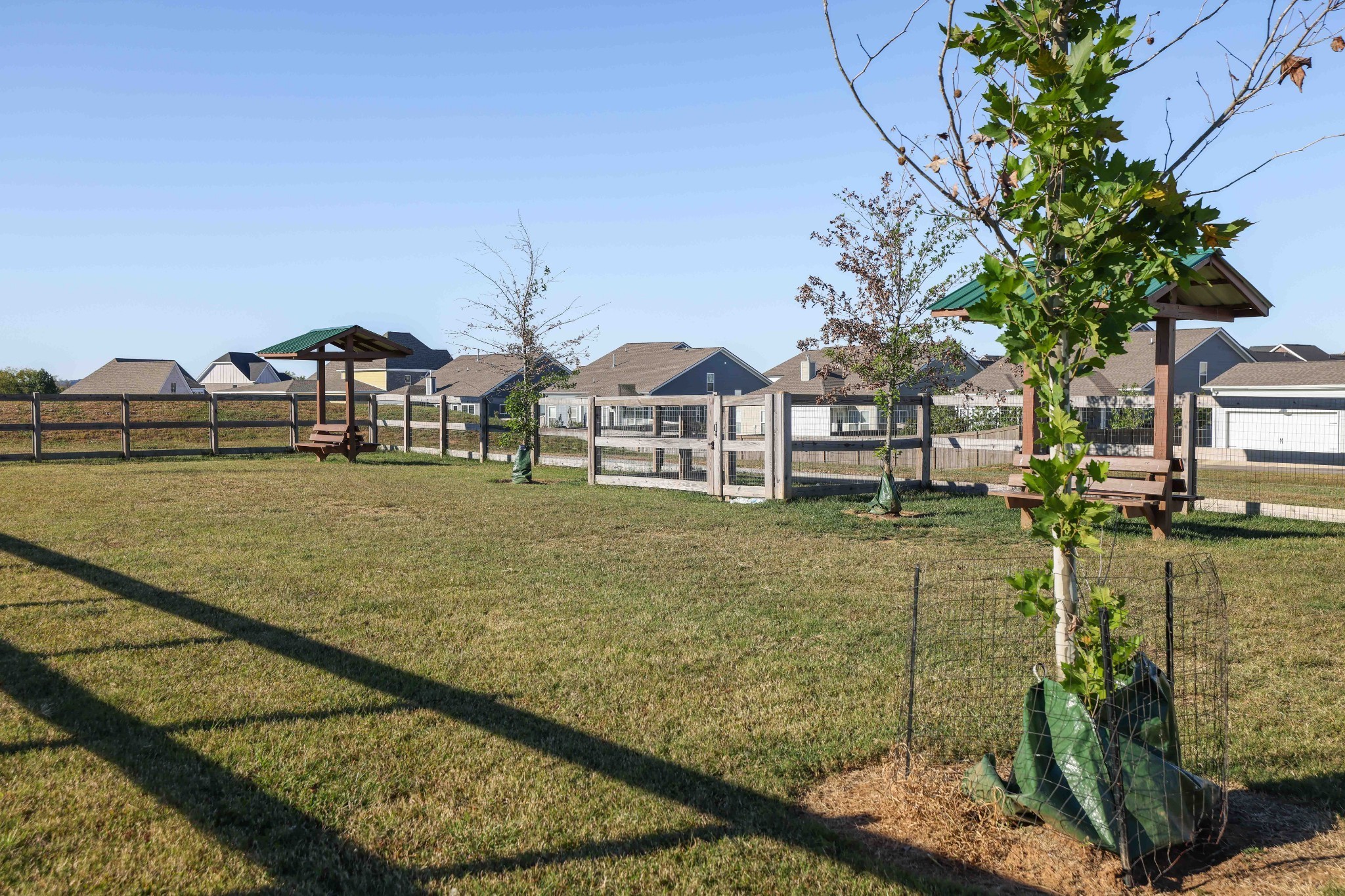 3024 Shandor St Spring Hill Spring Hill, TN 37174 - Photo 58 of 62