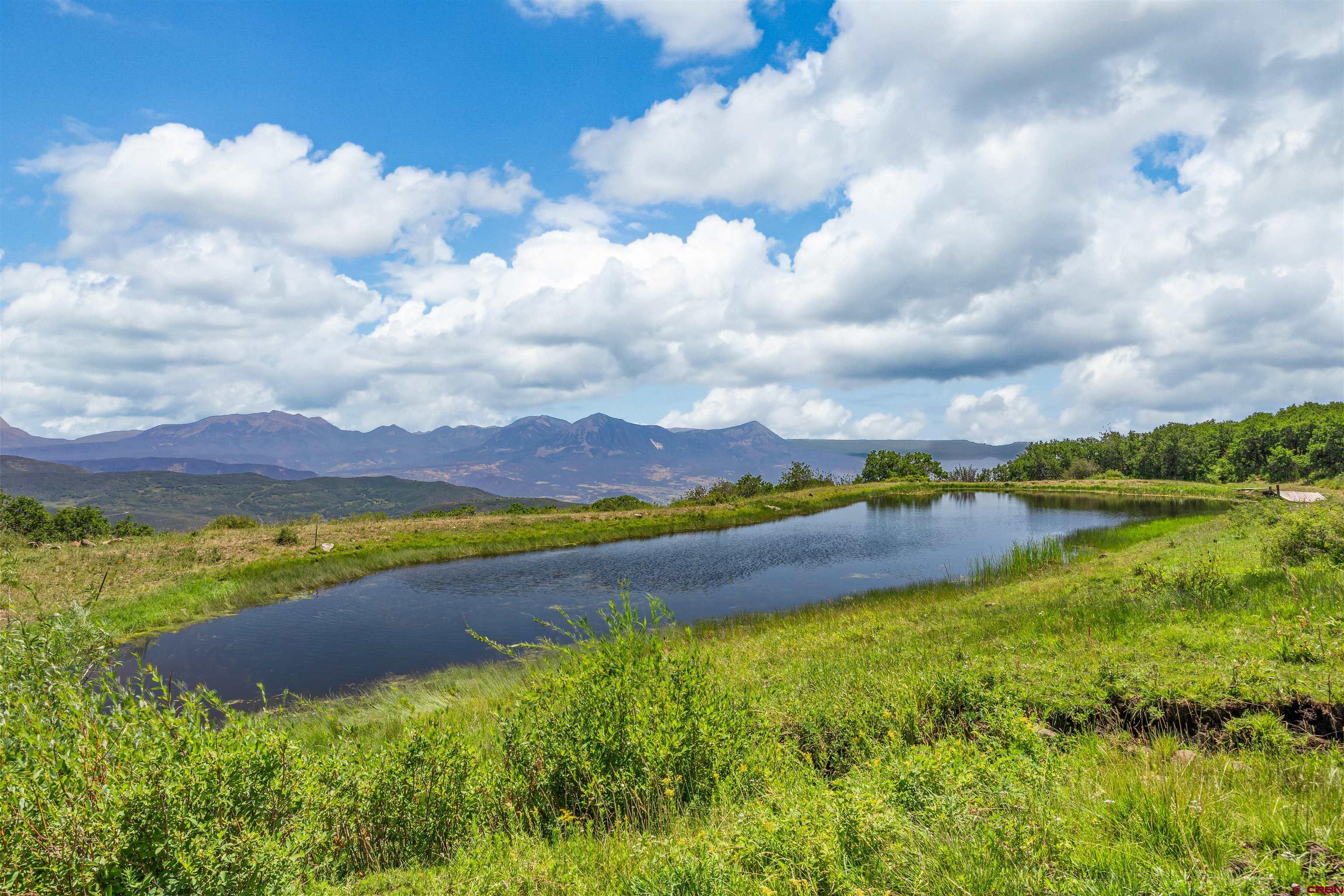 Tbd Roatcap Road Hotchkiss, CO 81419 - Photo 8 of 11 Gallery Image 8