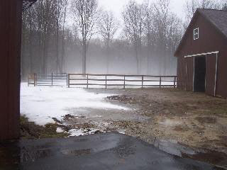 5368 Teal Road Petersburg, MI 49270 - Photo 6 of 6 792702-5.JPG