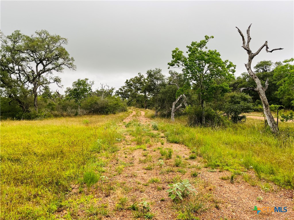 0 Rocky Road Cuero, TX 77954 - Photo 2 of 5 a view of a lake view