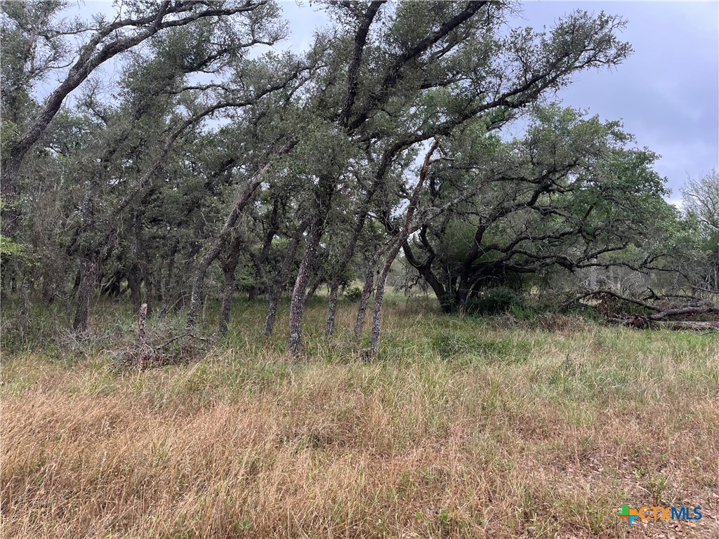 0 Rocky Road Cuero, TX 77954 - Photo 4 of 5 a view of a yard