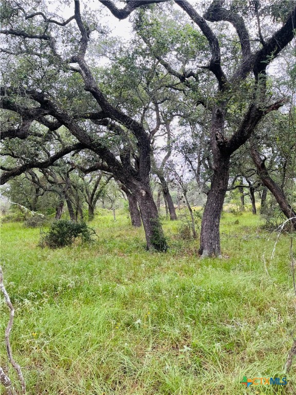 0 Rocky Road Cuero, TX 77954 - Photo 5 of 5 a view of an trees in a yard