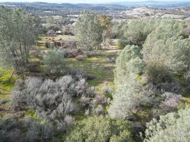 an aerial view of forest
