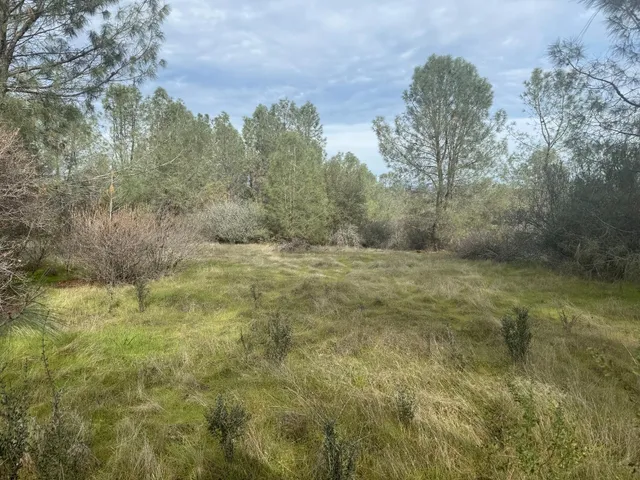 a view of an outdoor space and a yard