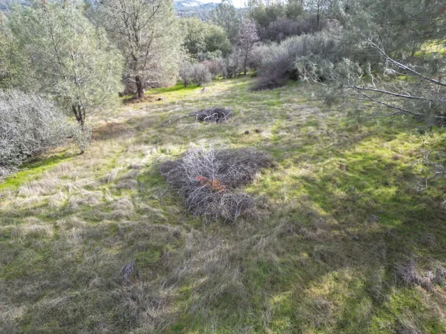 a view of a yard with a tree