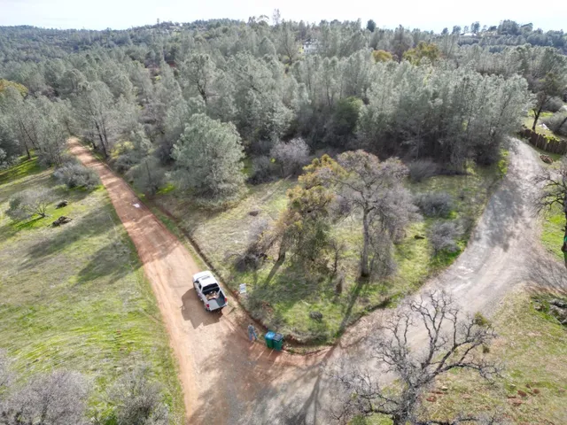 a view of a forest with a forest