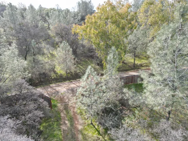 a view of a dry yard with trees