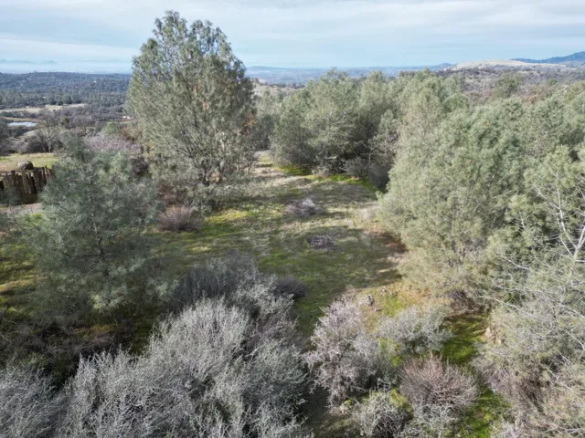 a view of a forest with trees in front of house