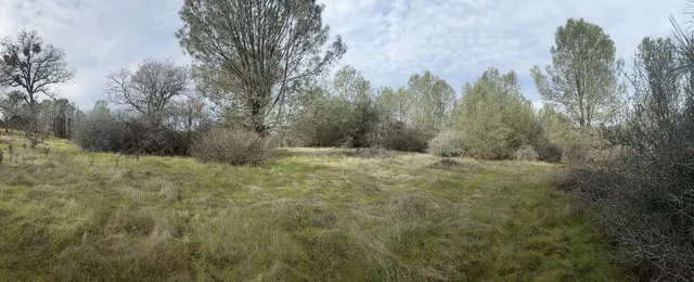 a big yard with lots of green space and house in the back