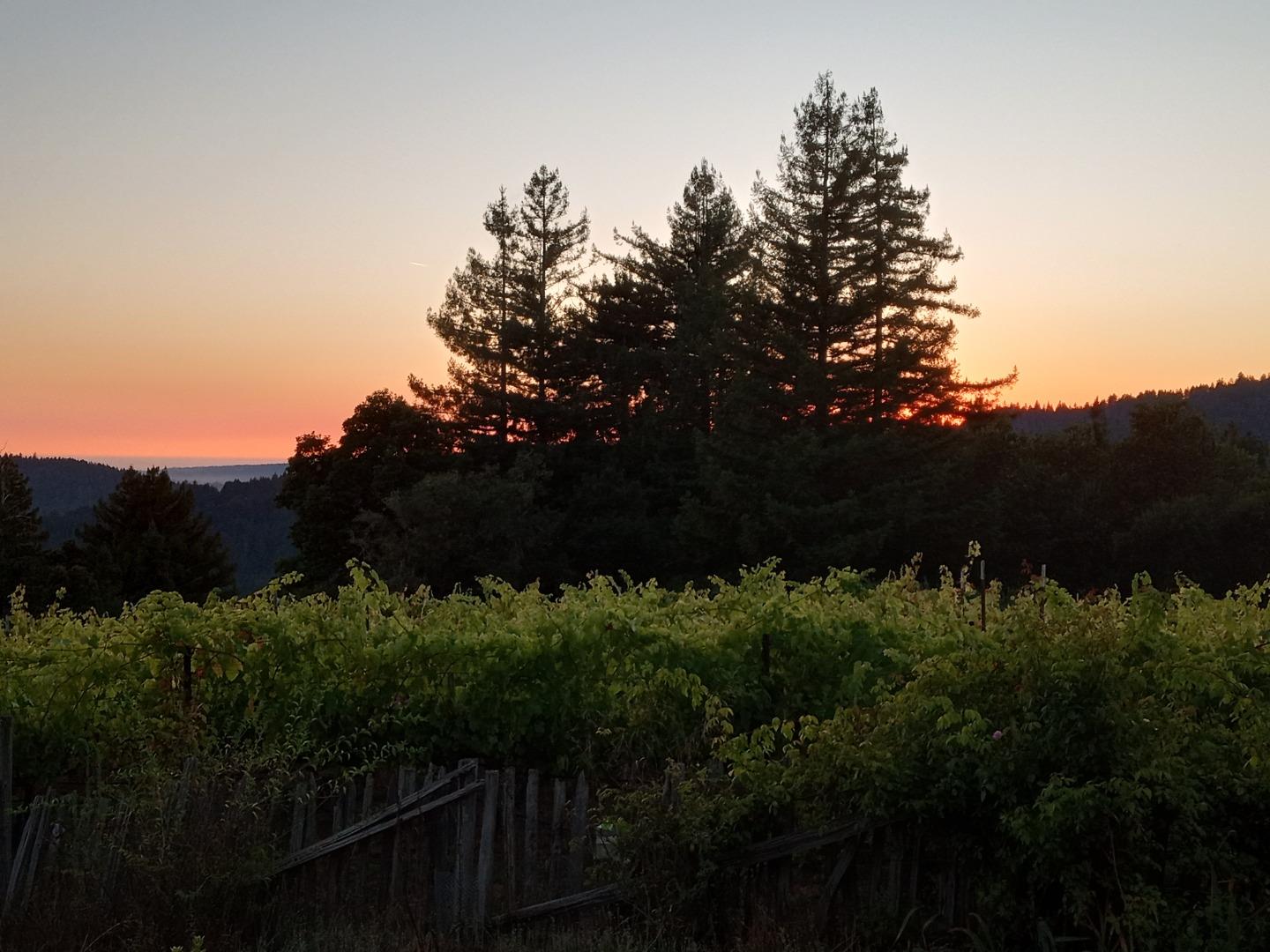 1580 Tindall Ranch Road Watsonville, CA 95076 - Photo 103 of 145 Gallery Image 103