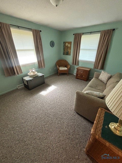 118 Townline Road Bryan, OH 43506 - Photo 15 of 23 Gallery Image 15