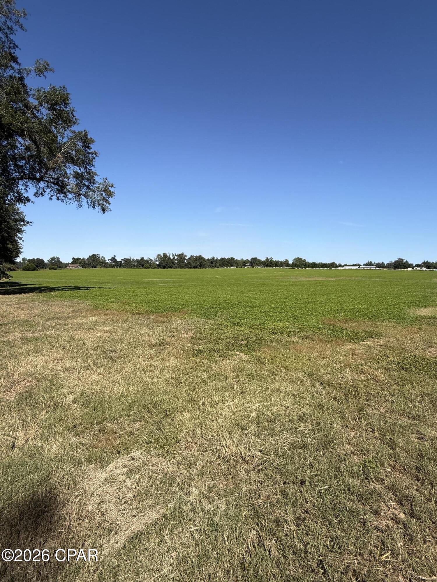 0 Dellwood Cypress Road Grand Ridge, FL 32442 - Photo 1 of 14 Gallery Image 1