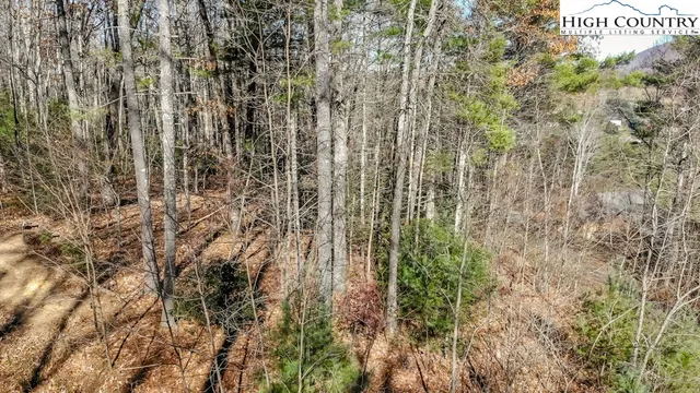 $35,000 | Lot 27 Highland Meadows, Fleetwood, NC 28626