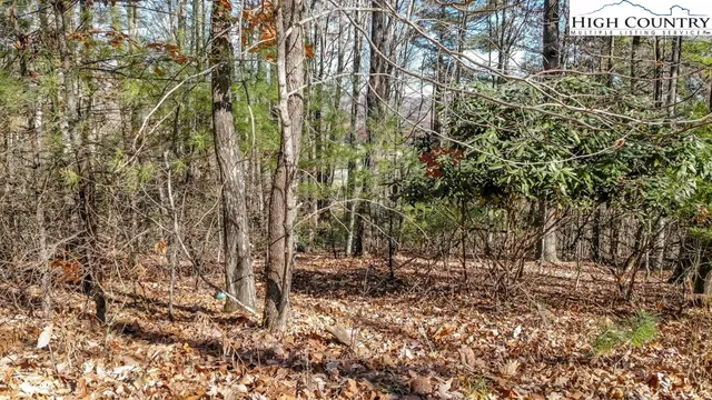 $35,000 | Lot 27 Highland Meadows, Fleetwood, NC 28626