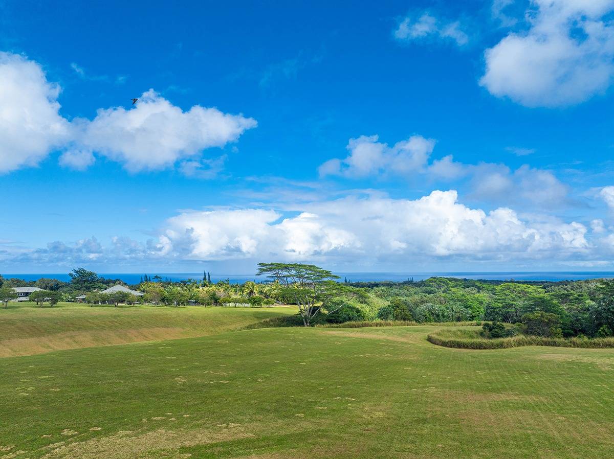 Kapuna Road Kilauea, HI 96754 - Photo 16 of 27