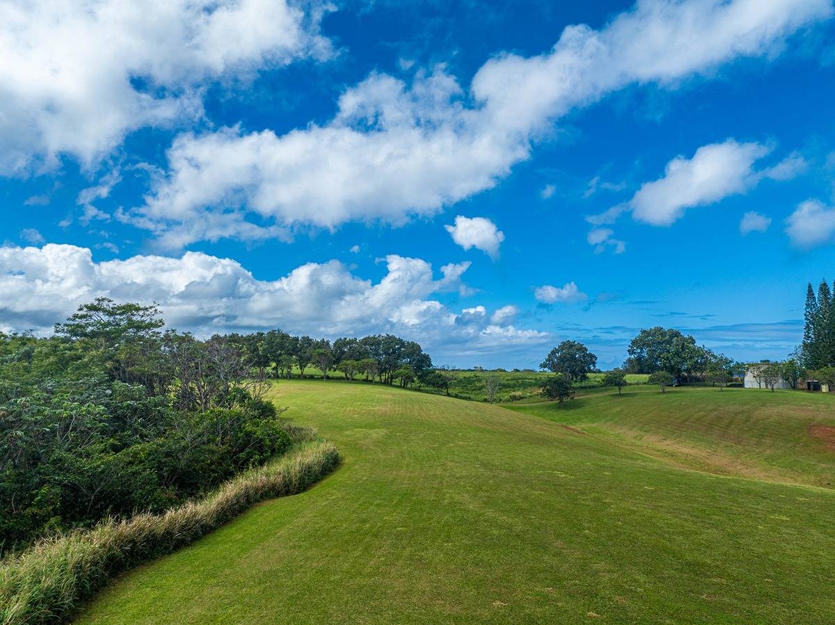 Kapuna Road Kilauea, HI 96754 - Photo 17 of 27