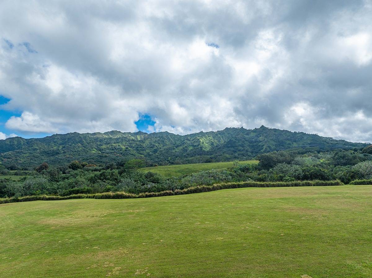 Kapuna Road Kilauea, HI 96754 - Photo 19 of 27