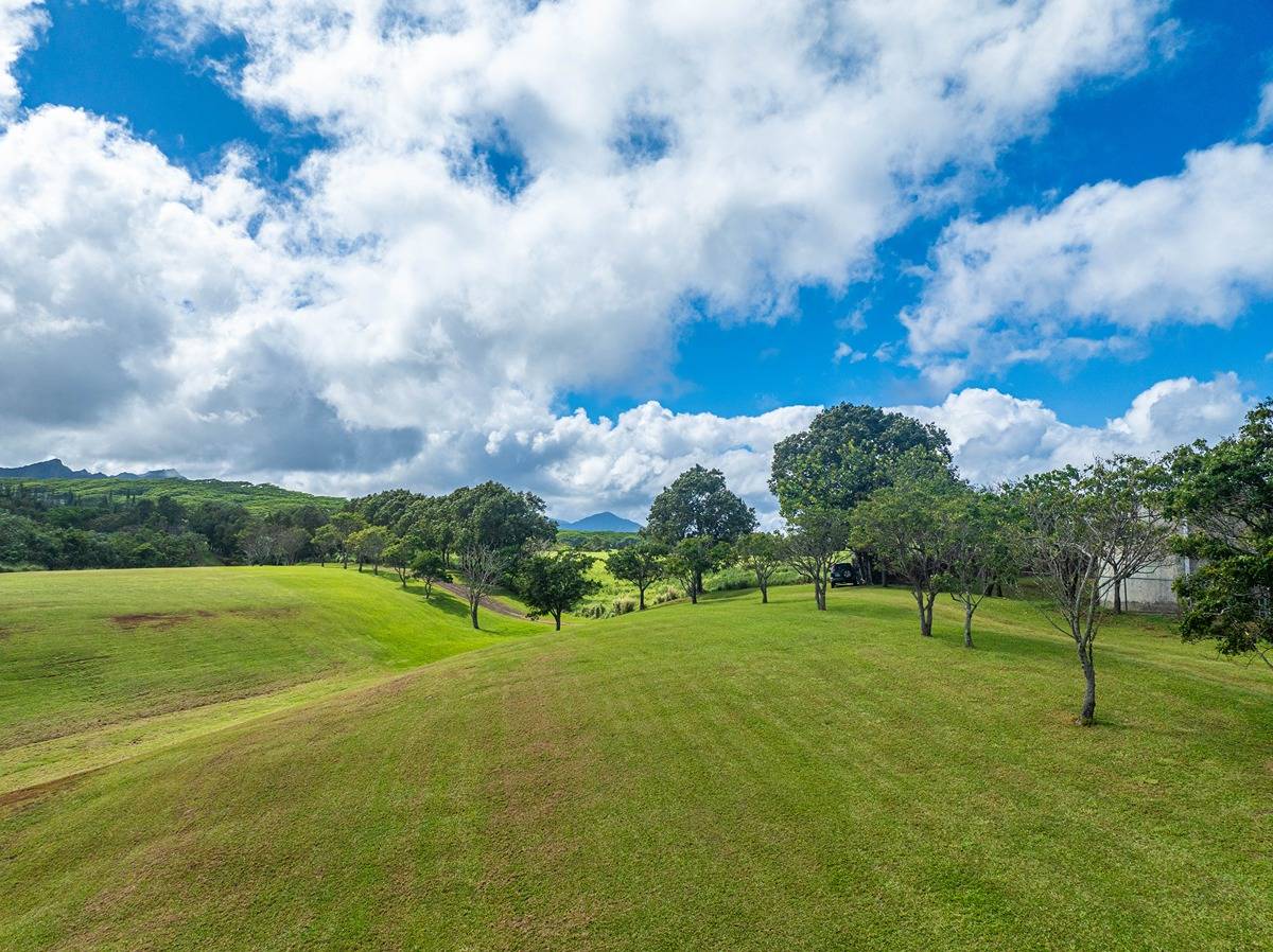 Kapuna Road Kilauea, HI 96754 - Photo 21 of 27
