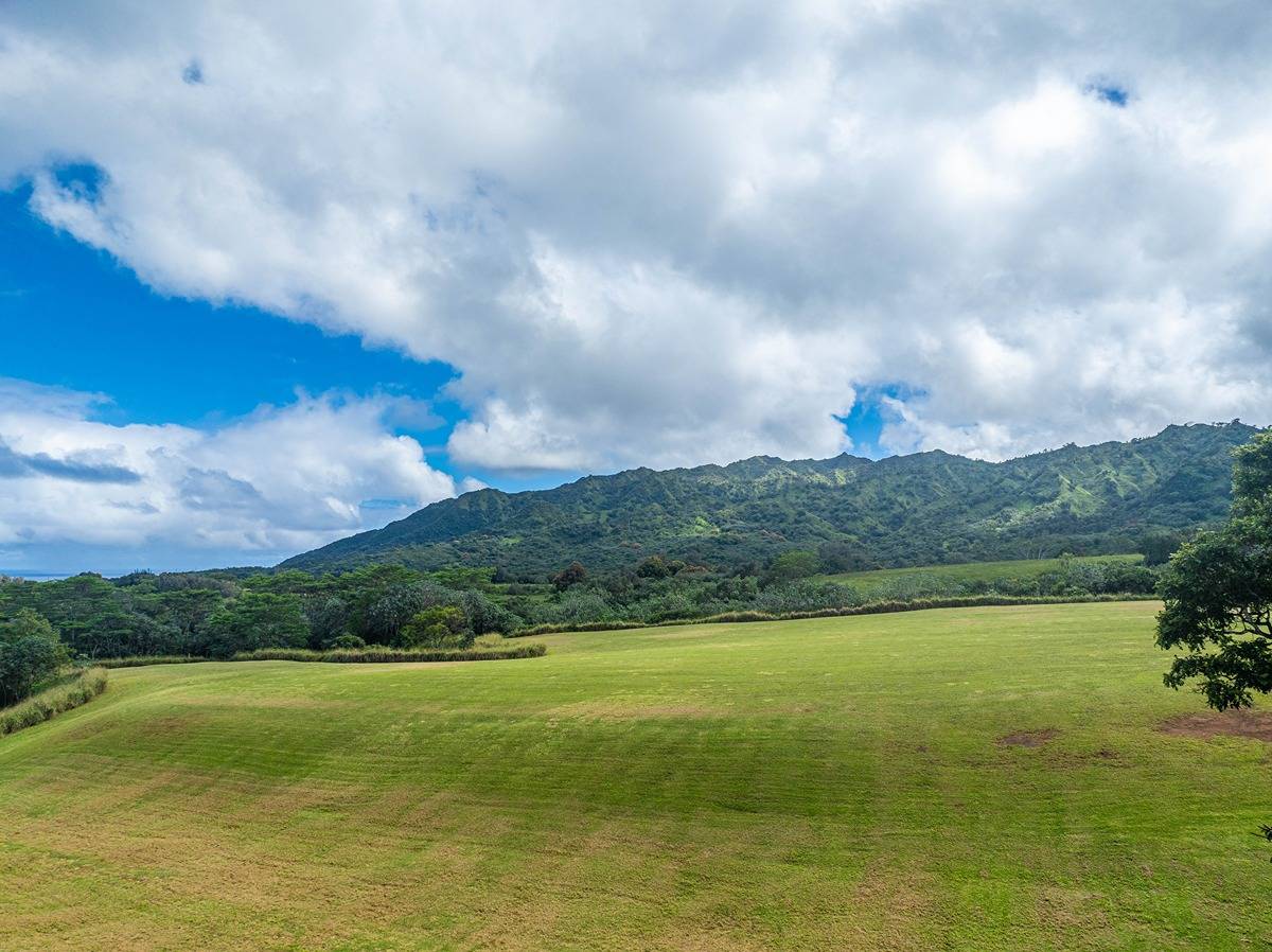 Kapuna Road Kilauea, HI 96754 - Photo 22 of 27