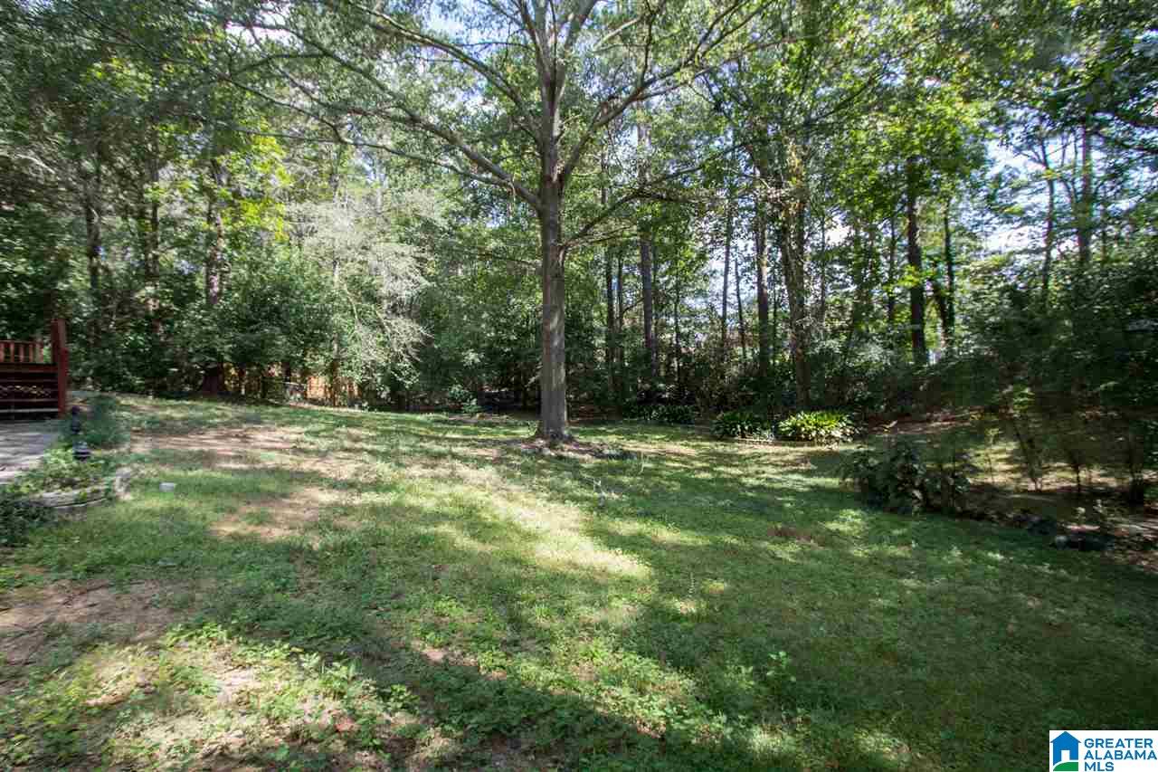 4537 Old Caldwell Mill Road Birmingham, AL 35242 - Photo 2 of 50