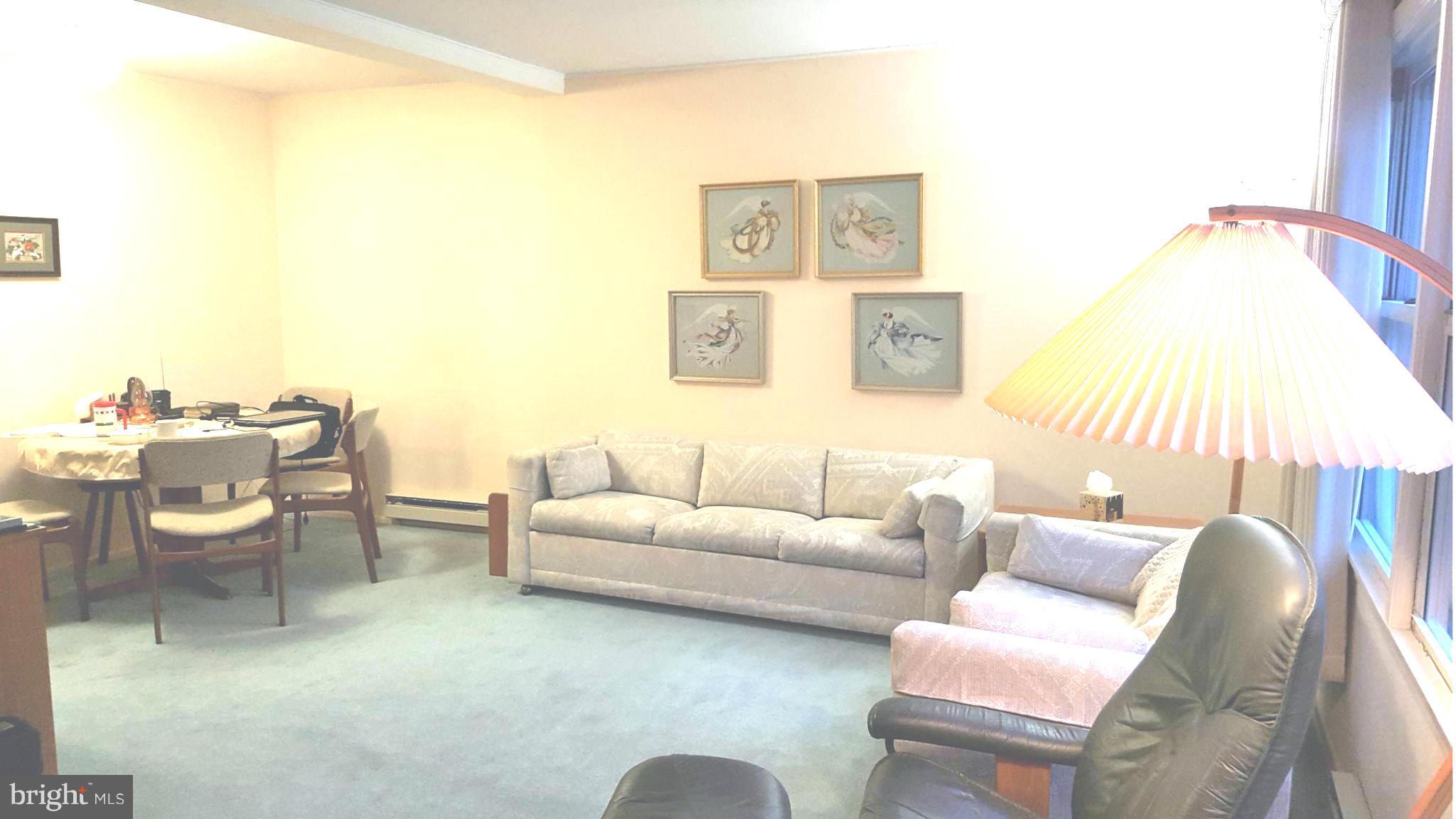 36 Ridge Road, Unit E Greenbelt, MD 20770 - Photo 4 of 13 Living room