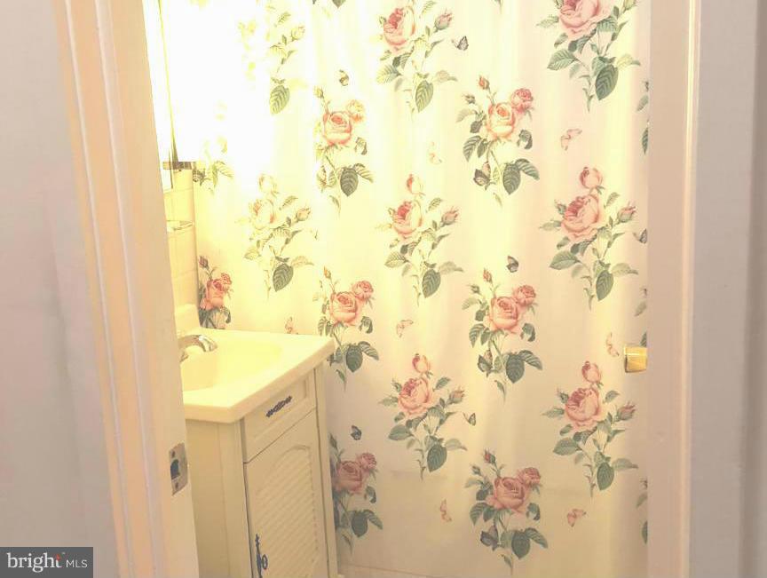 36 Ridge Road, Unit E Greenbelt, MD 20770 - Photo 9 of 13 bathroom