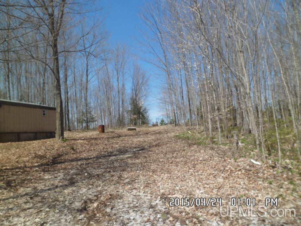 15627 North Co Road Wilson, MI 49896 - Photo 20 of 22