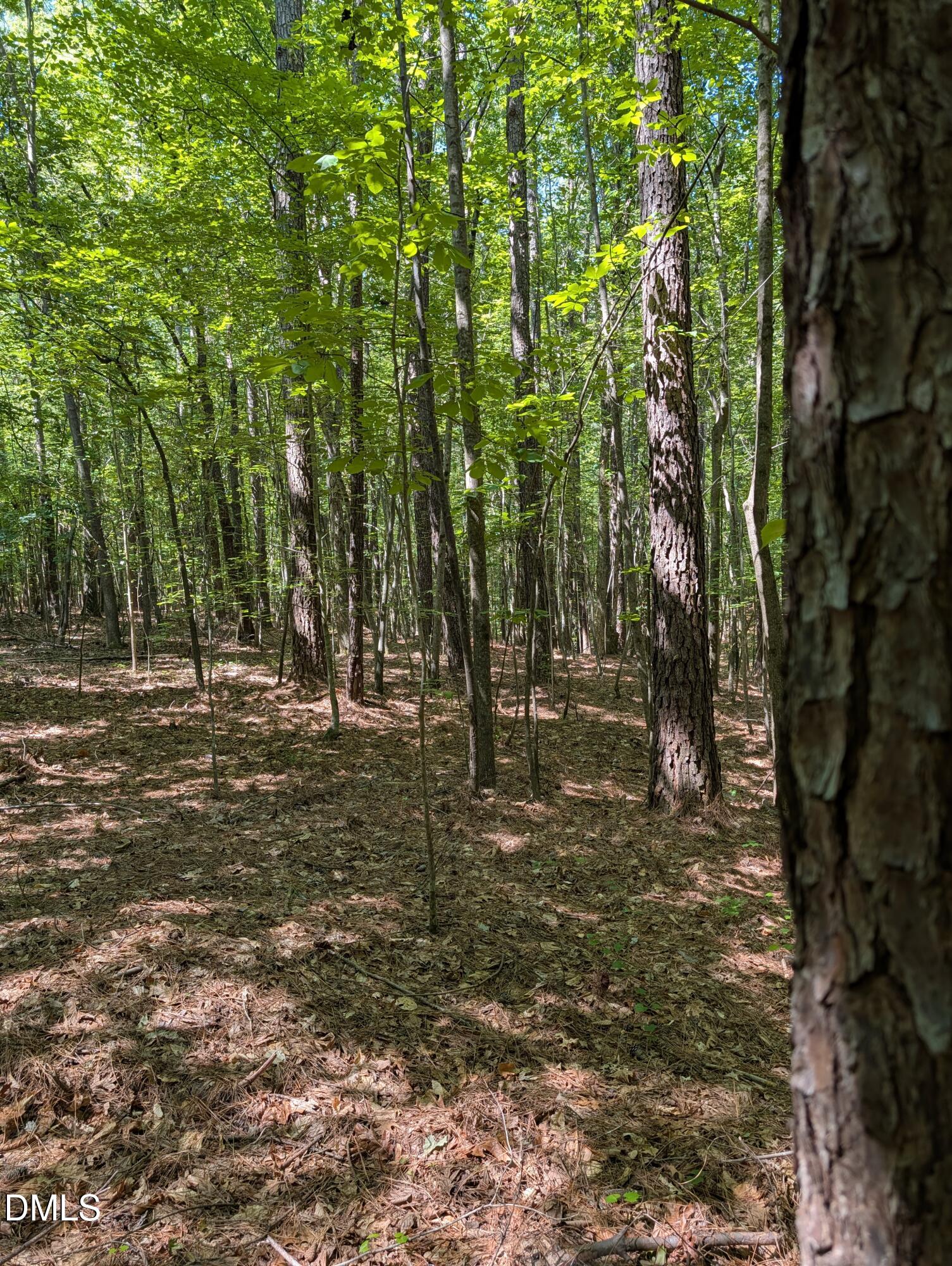 B2 Thelma Road Roanoke Rapids, NC 27870 - Photo 1 of 3