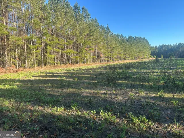 a view of an outdoor space and yard