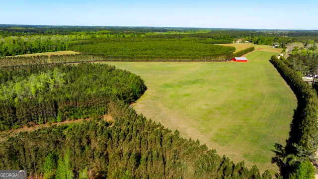 a view of an ocean from a yard