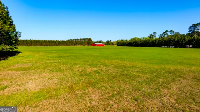 a view of an ocean from a yard