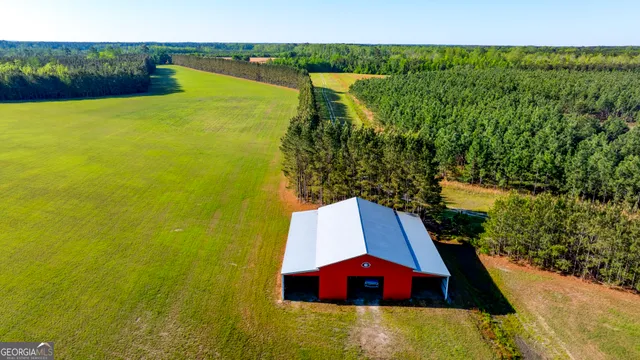 a view of a city with lush green forest