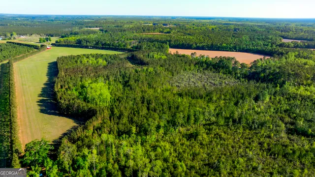 a view of a swimming pool with a yard
