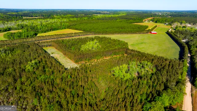 $1,290,000 | 3276 Mud Road, Brooklet, GA 30415