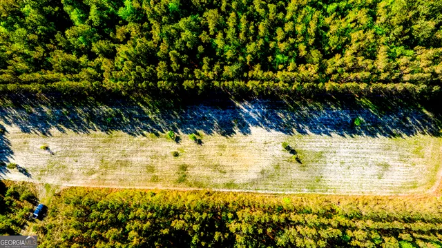 $1,290,000 | 3276 Mud Road, Brooklet, GA 30415