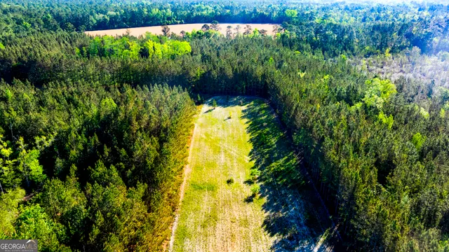 $1,290,000 | 3276 Mud Road, Brooklet, GA 30415