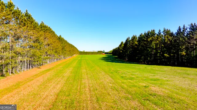 $1,290,000 | 3276 Mud Road, Brooklet, GA 30415