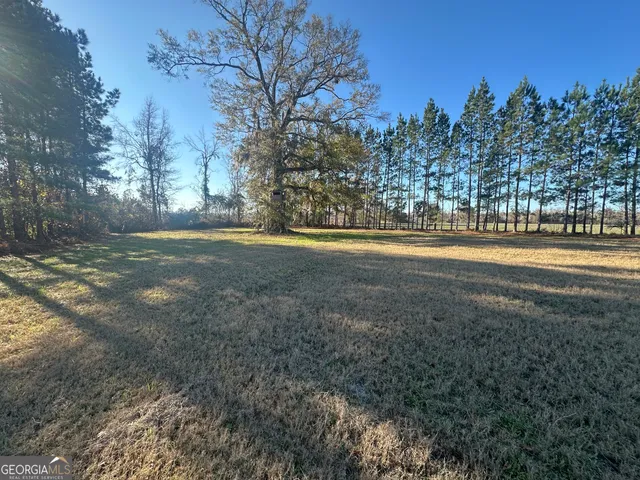 a view of a field with mountains in the background