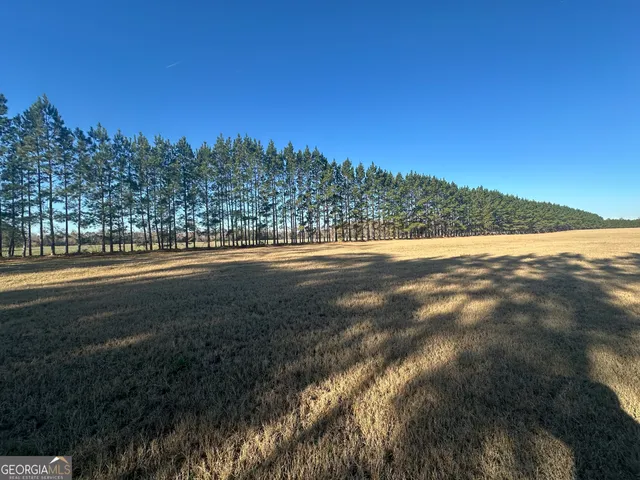 a view of a yard in front of a house with a yard