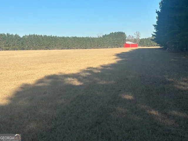 a view of a yard with a tree